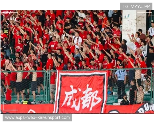 球迷文化如何影响联赛氛围，球迷问题